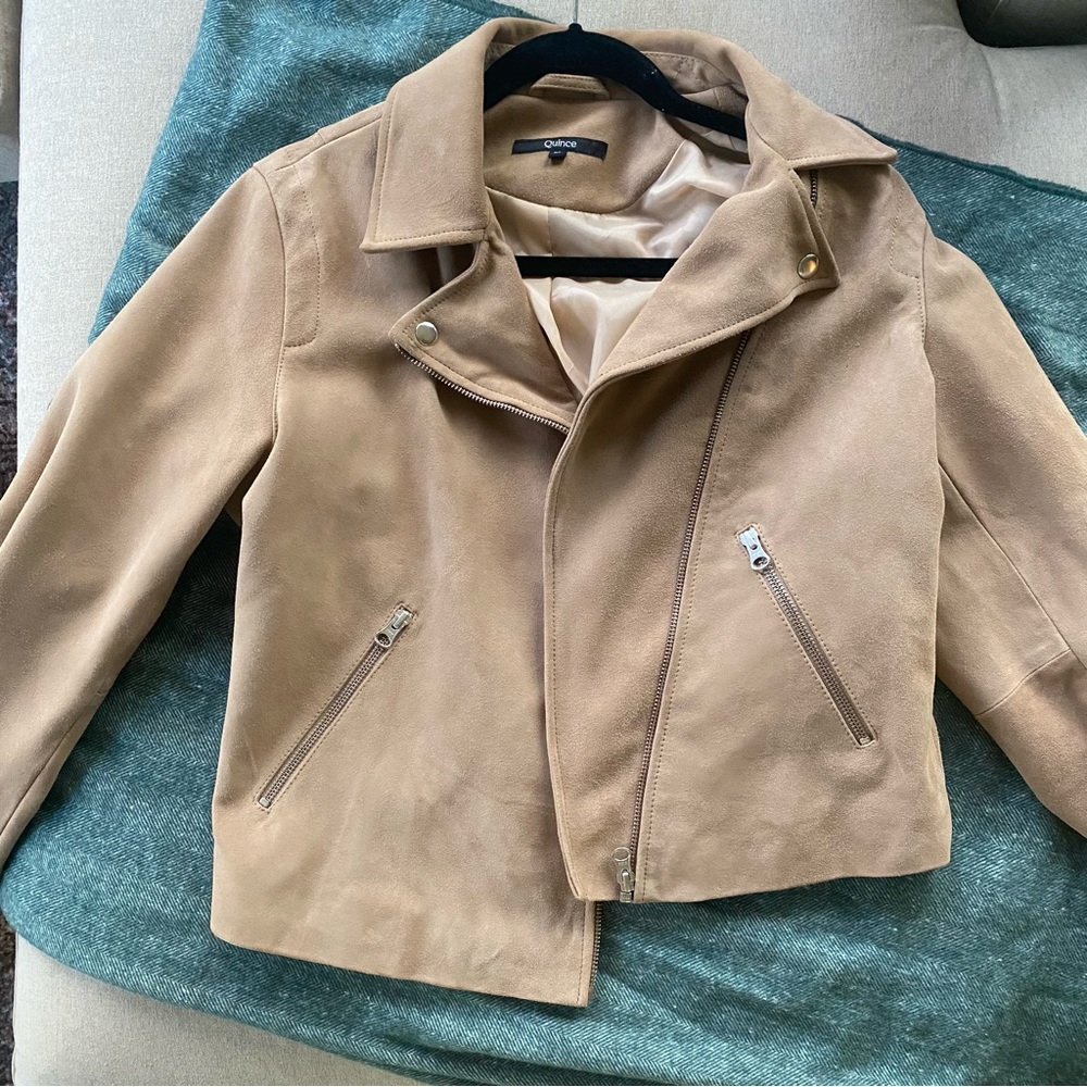 Quince 100% Suede Biker Moto Jacket, Cute! - Picture 2 of 7